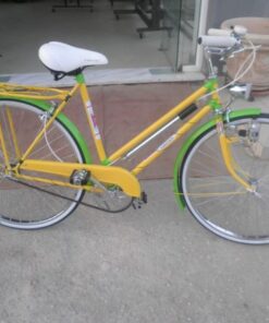 Eska Γυναικείο Ποδήλατο