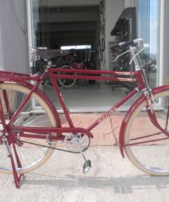 Goricke Ανδρικό Ποδήλατο