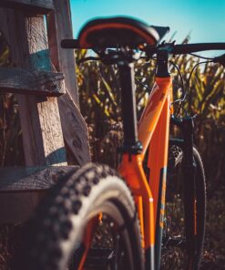 Παλουκόσελα