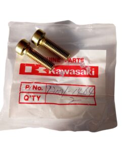 Βίδα κυλίνδρου πιρουνιού KAWASAKI VULCAN 750,NINJA 250R Γνήσια